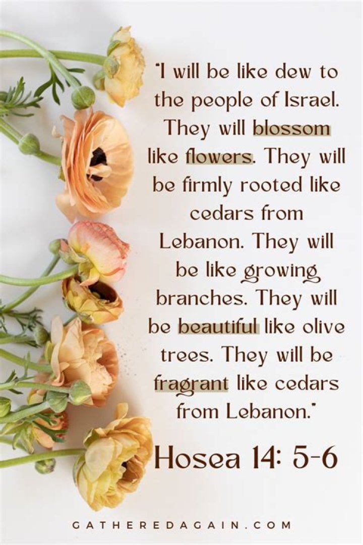 Flowers In The Bible: Scriptures Of Beauty And Fragrance