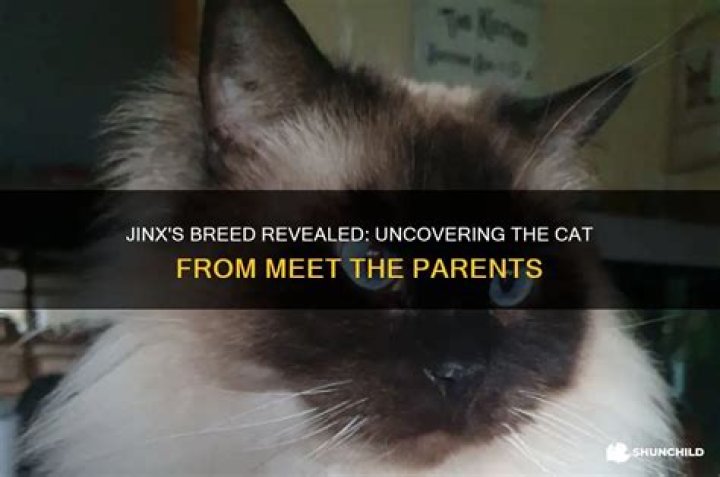 Meet The Parents: Uncovering The Lineage Of Joey King