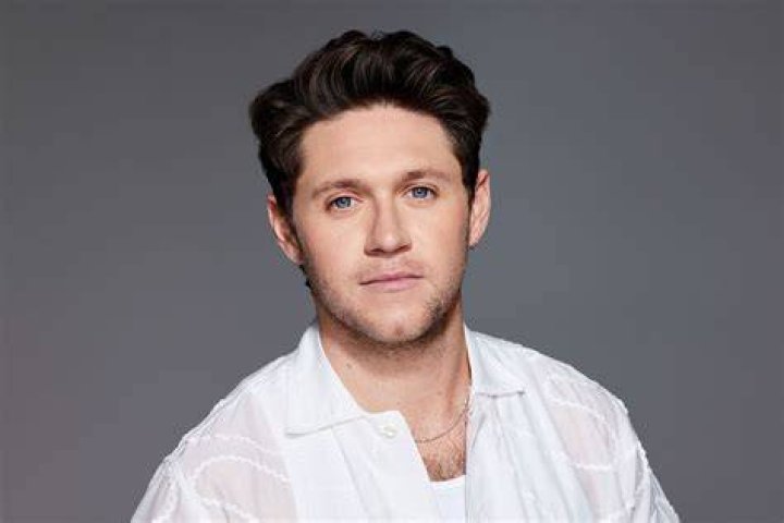 Who Is Niall Horan's Girlfriend? All About Amelia Woolley